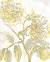 Belle Fleur Yellow I Crop Fine Art Print