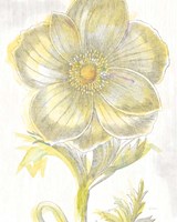 Belle Fleur Yellow II Crop Fine Art Print