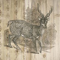 Natural History Lodge III Framed Print