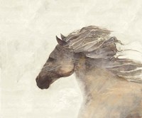 Into the Wind Ivory Fine Art Print
