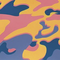 Camouflage, 1987 (pink, purple, orange) Fine Art Print