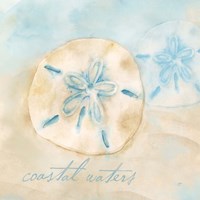 Watercolor Shell Sentiments IV Framed Print