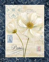 Paris Poppies w/Navy Border I Framed Print