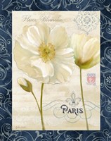 Paris Poppies w/Navy Border II Fine Art Print