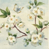Cherry Bloom I Fine Art Print