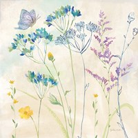 Wildflower Garden II Fine Art Print