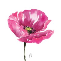 Poppies Tempo I Fine Art Print