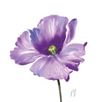 Poppies Tempo IV Fine Art Print