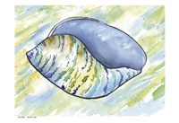 Underwater Shell 4 Fine Art Print