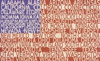 US Flag Fine Art Print