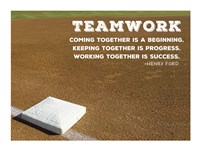 Teamwork Framed Print