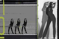 Olive Fine Art Print