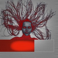 Enlightenment Fine Art Print