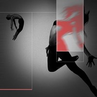 Flight Fine Art Print