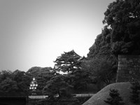 Tokyo Imperial Palace Fine Art Print