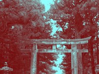 Nikko Gate Fine Art Print