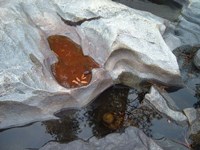 River Stone Fine Art Print