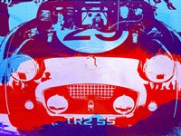 Racing Bug Eye Fine Art Print