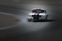 Mustang on the racing Circuit Fine Art Print