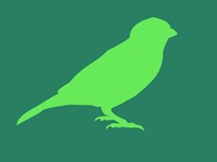 Light Green Bird Fine Art Print