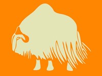 White Ox Framed Print