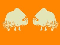 Two White Oxes Framed Print