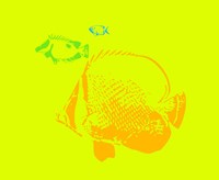 Aquarium 3 Fine Art Print