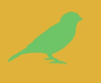 Green Bird Fine Art Print