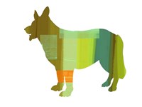 German Shepard 1 Fine Art Print