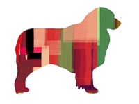 Australian Sheppard Fine Art Print