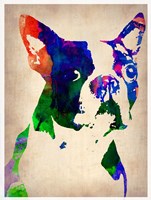 Boston Terrier Watercolor Fine Art Print