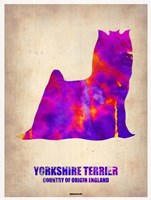 Yorkshire Terrier Fine Art Print