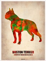 Boston Terrier Fine Art Print