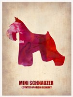 Miniature Schnauzer 1 Fine Art Print