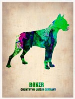 Boxer Fine Art Print