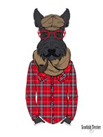 Scottish Terrier In Pin Plaid Shirt Fine Art Print