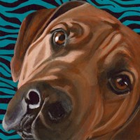 Dlynn's Dogs - Bunsen Fine Art Print