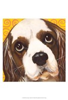 Dlynn's Dogs - Charlie Fine Art Print