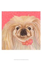 Dlynn's Dogs - Pinky Fine Art Print