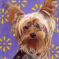 Dlynn's Dogs - Ringo Fine Art Print