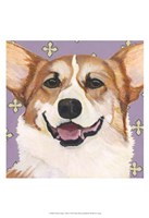 Dlynn's Dogs - Teddy Fine Art Print