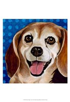 Dlynn's Dogs - Zach Fine Art Print