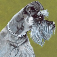 Dlynn's Dogs - Zoee Fine Art Print