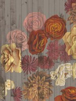 Danza del Sol I Fine Art Print