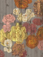 Danza del Sol II Fine Art Print