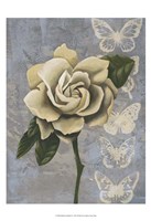 Blissful Gardenia I Framed Print
