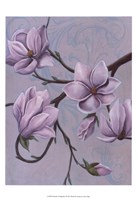 Branches of Magnolia I Fine Art Print