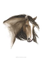 Wild Horse I Fine Art Print