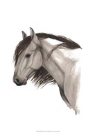 Wild Horse II Fine Art Print