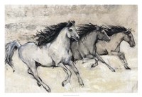 Horses in Motion II Fine Art Print